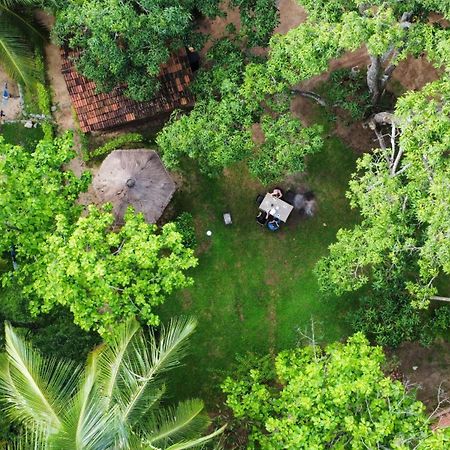 Eco Village Kalundewa 丹不拉 外观 照片