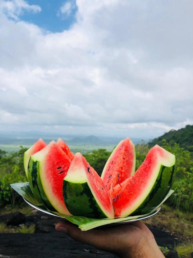 Eco Village Kalundewa 丹不拉 外观 照片