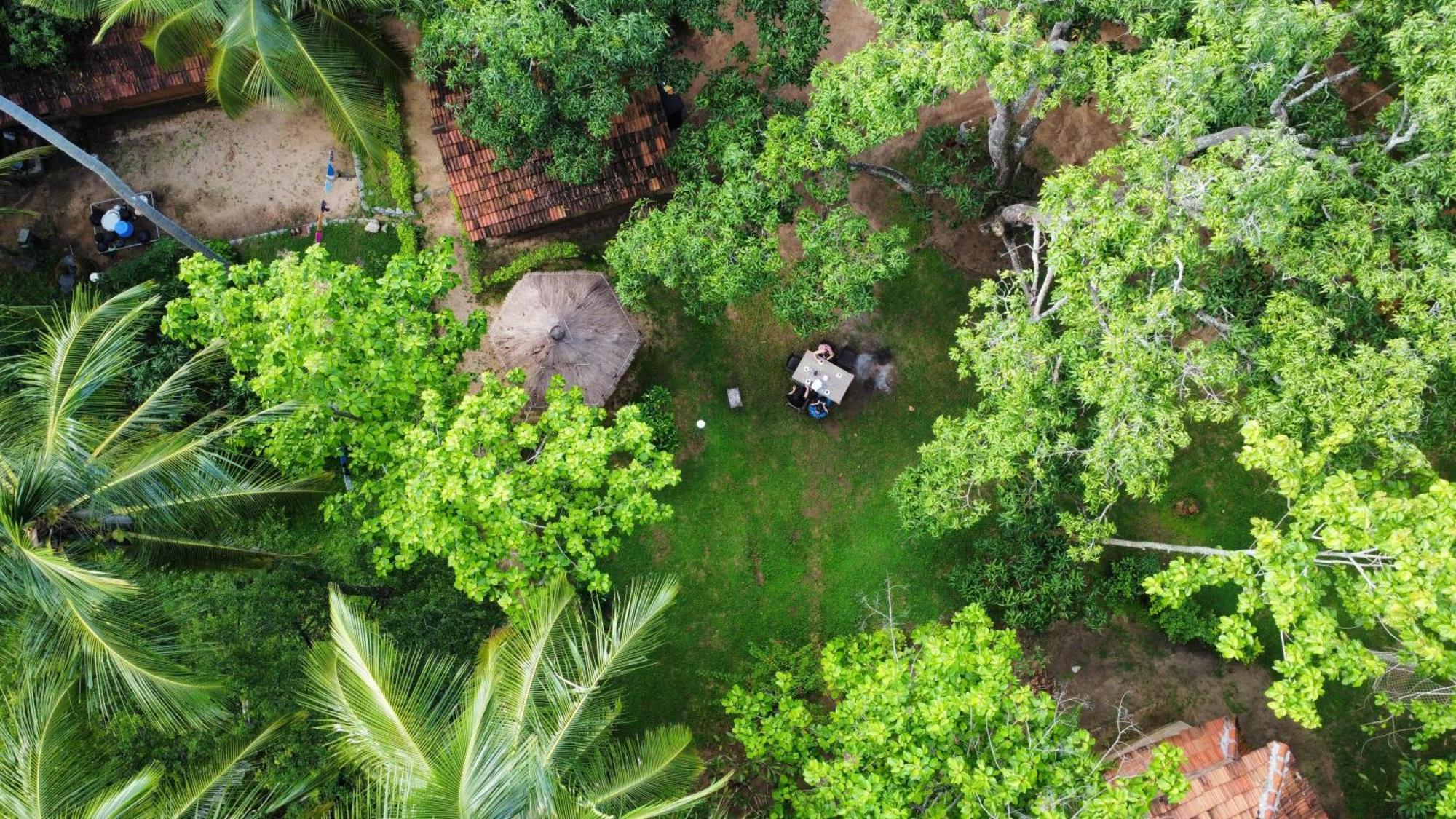 Eco Village Kalundewa 丹不拉 外观 照片