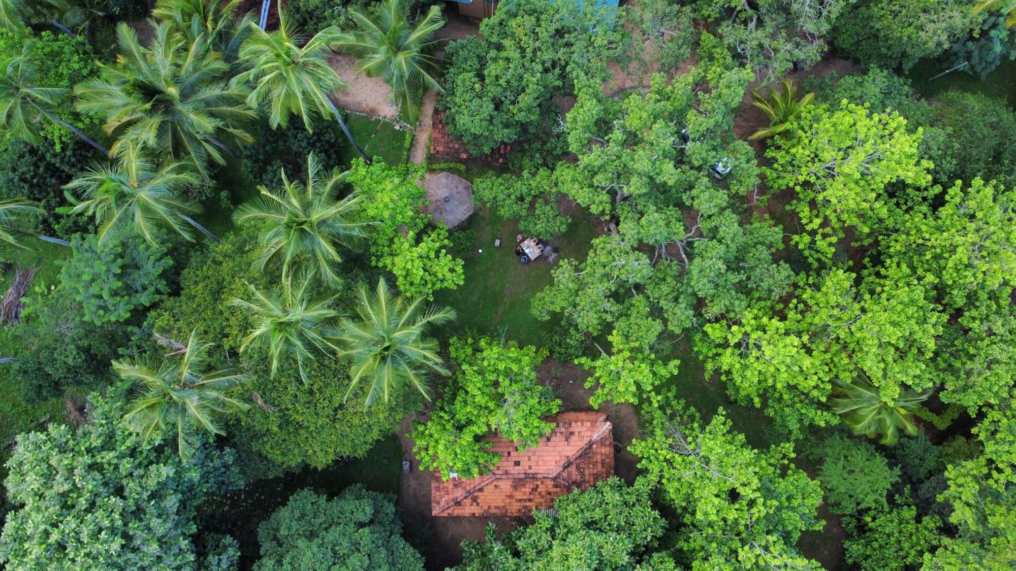 Eco Village Kalundewa 丹不拉 外观 照片