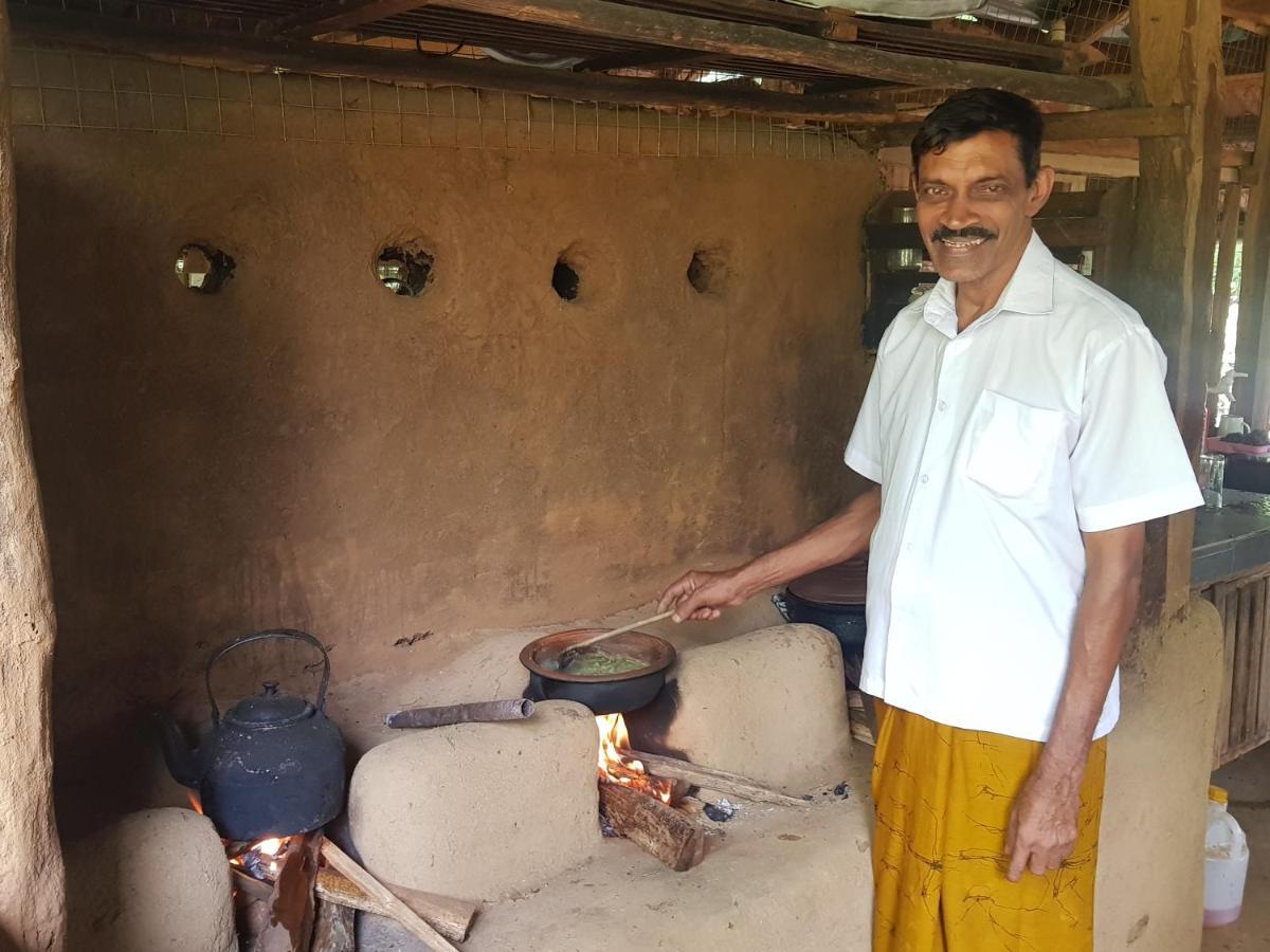 Eco Village Kalundewa 丹不拉 外观 照片