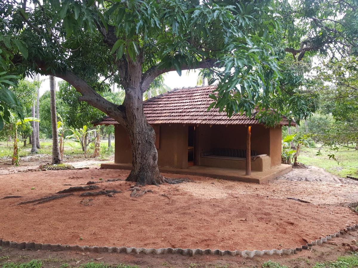 Eco Village Kalundewa 丹不拉 外观 照片