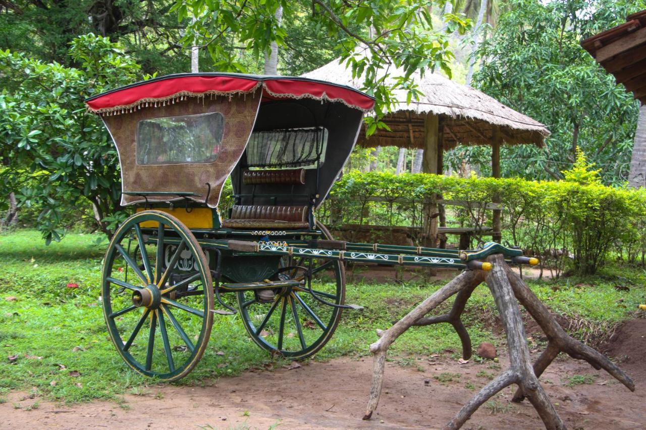 Eco Village Kalundewa 丹不拉 外观 照片