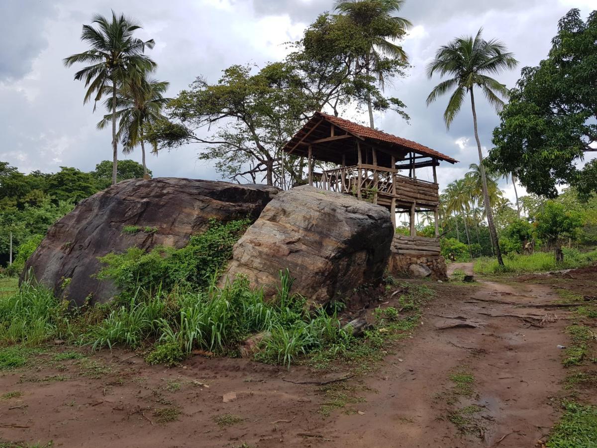 Eco Village Kalundewa 丹不拉 外观 照片