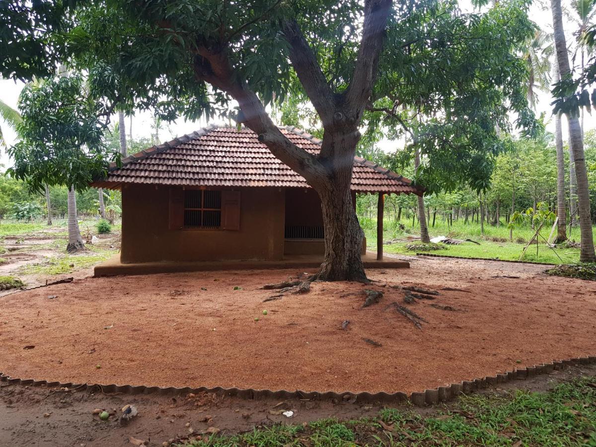 Eco Village Kalundewa 丹不拉 外观 照片