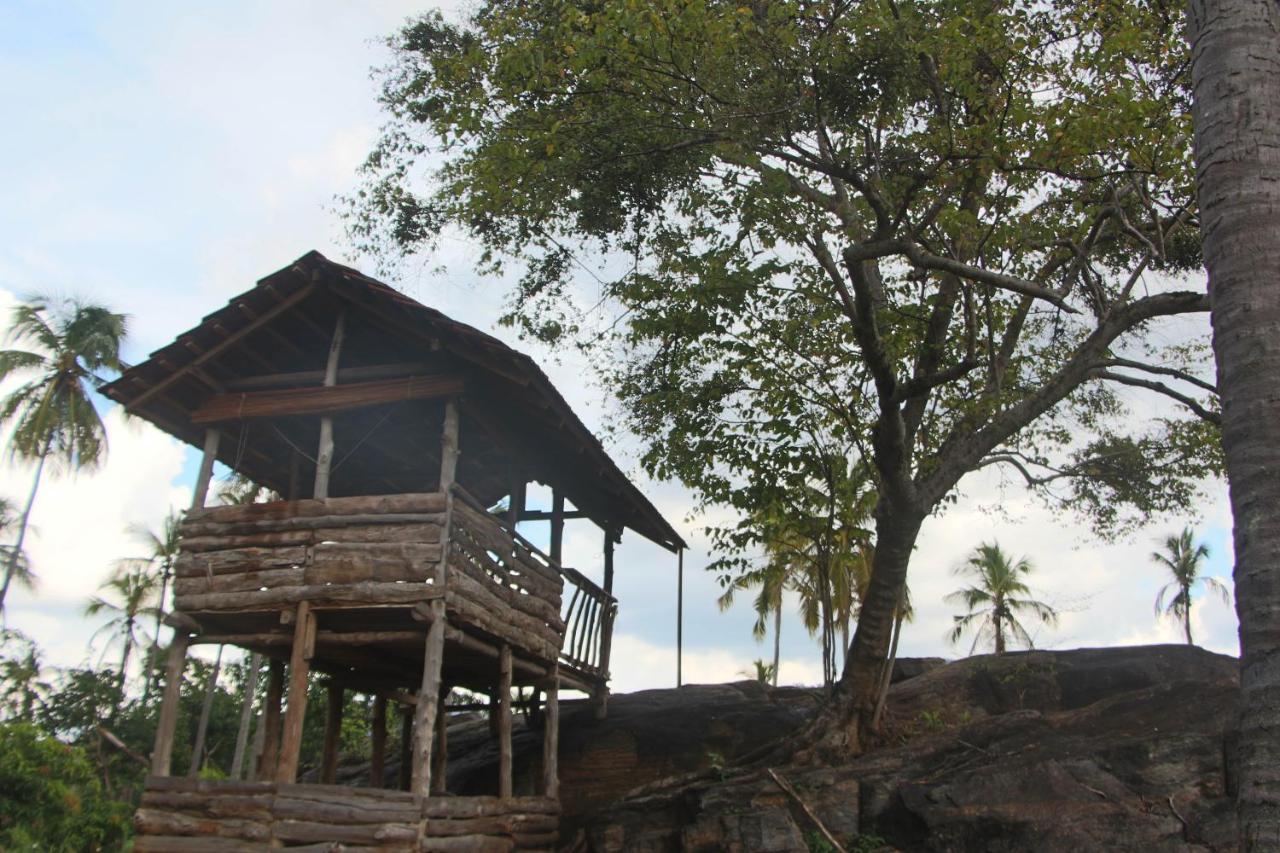 Eco Village Kalundewa 丹不拉 外观 照片