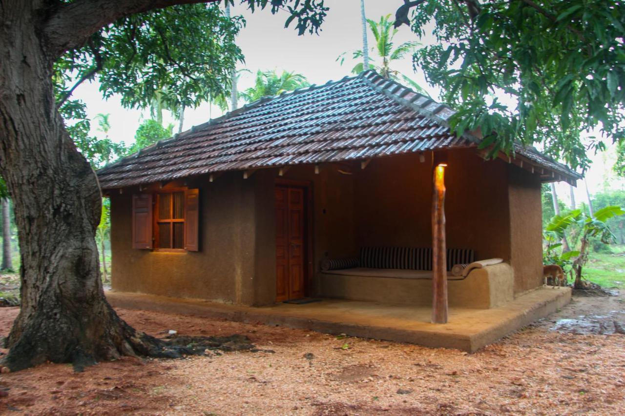 Eco Village Kalundewa 丹不拉 外观 照片